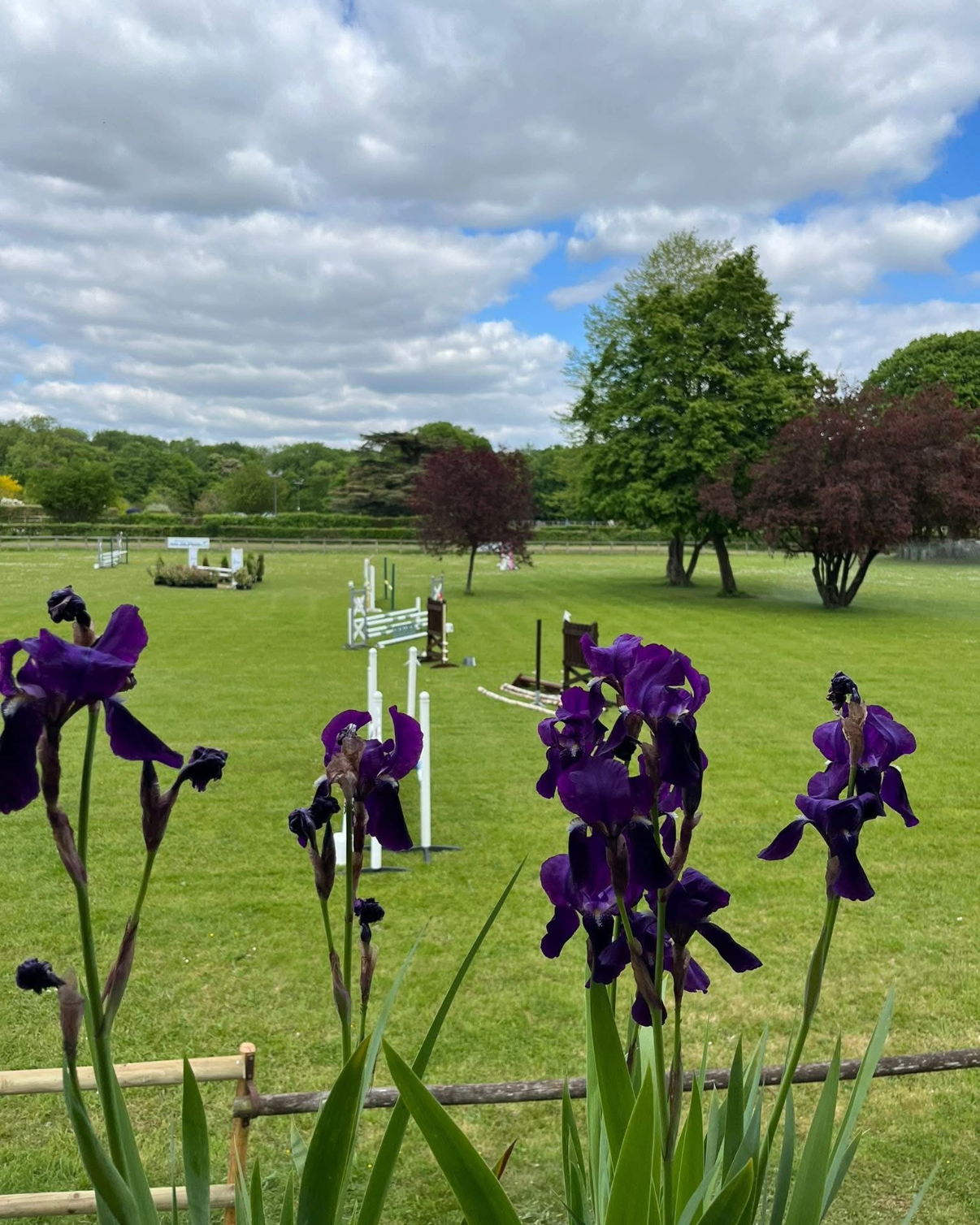 Obstacles vus à travers les iris — Ferme de la Motte